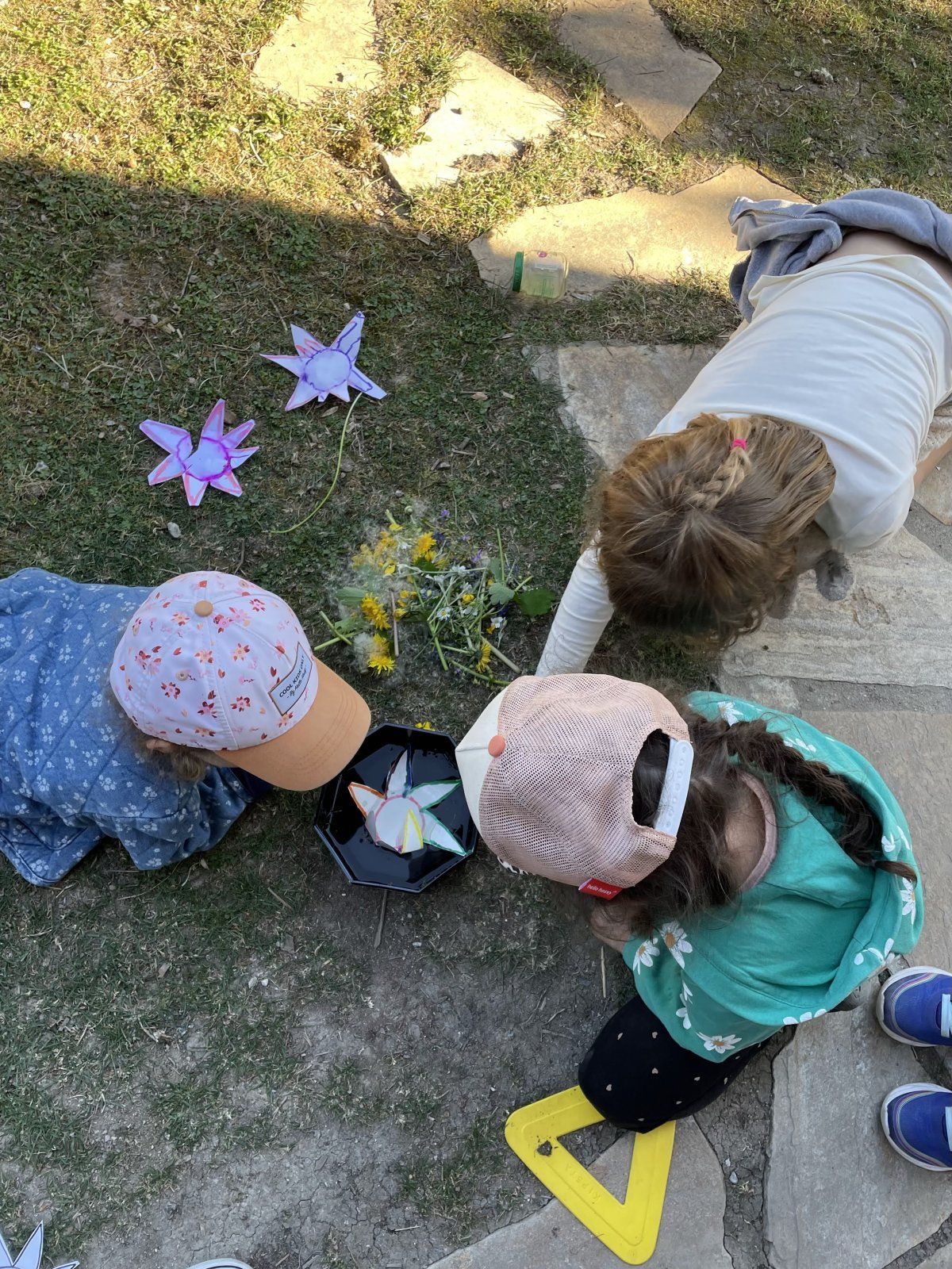 experience scientifique the magique flower avec quatre enfants activités  sur le theme du printemps des fleurs